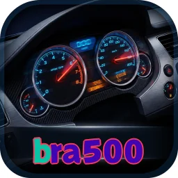 bra500